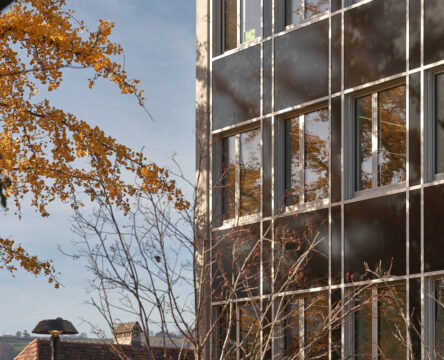 F18 Gemeindehaus Muri, Fenster