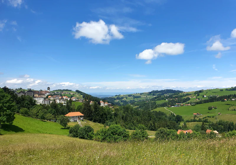 Grüne Wiese mit Häusern in der Ferne im Appenzellerland