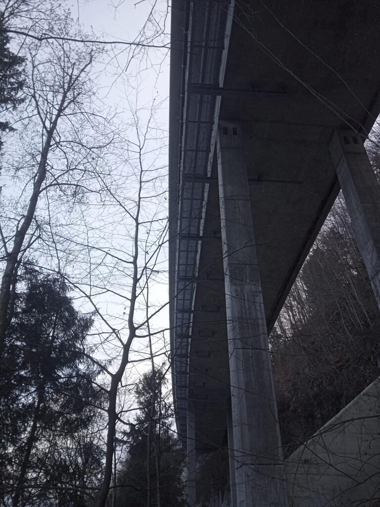 S5 Fussgängersteg Bottenbalmbrücke, Ansicht